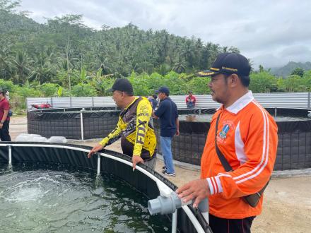 Wujudkan Ketahanan Pangan, Pemerintah Desa Bendoroto Realisasikan Tabur Benih Ikan Nila
